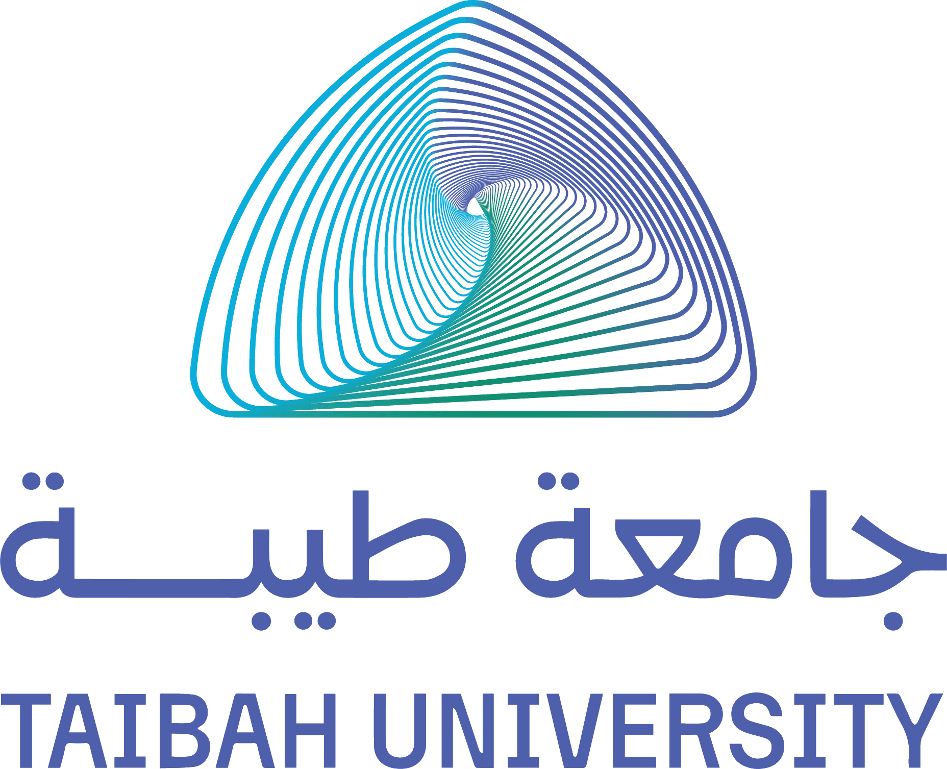 جامعة طيبة